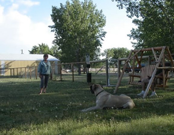 Our pet park is a big hit with our 4 legged kampers