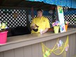 Pancake Breakfast Photo