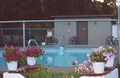 Hundreds of flowers adorn the Campground