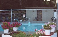 Hundreds of flowers adorn the Campground