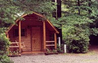 Our Kabins are Nestled in the Forest