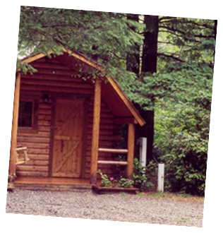 Our Kabins are Nestled in the Forest
