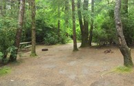 Our tent sites are nestled in the trees