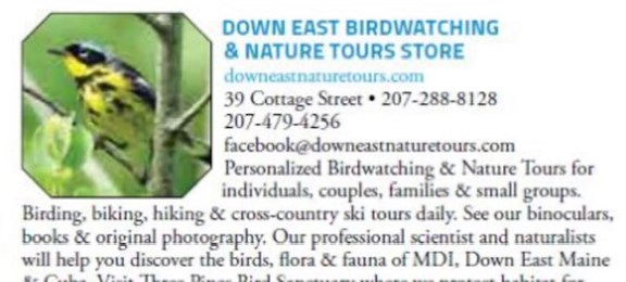 Down East Bird Watching + Nature Tours
