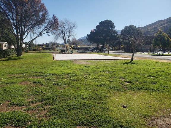 Volley ball Court