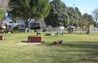 Horseshoe Pits and Fire Ring