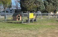 Dog Park