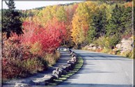 fantastic fall foliage in Acadia