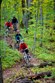 Hardwood Ski & Bike - Mountain Bike Photo