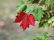 September 16- October 3 | Treat yourself to fall camping. Photo