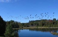Scenic Pond