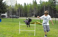 Stella Takes Flight at the Pet Playground