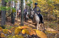Area Horseback Riding