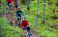 Mountain Biking in local forests