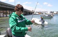 Orillia Perch Festival