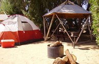 Tent rentals
