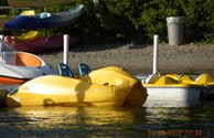 Pedal boats for rent