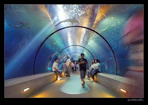 NewPort Aquarium