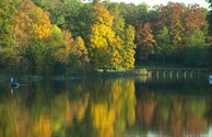 Fall Colors