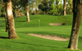 Golf Photo