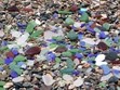Beachcombing Photo