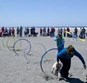 Doggie Olympic Games Photo