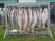 Deep Sea Fishing Photo