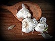 Annual NW Garlic Festival - June Photo