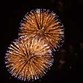Independence Day Fireworks at the Port Photo