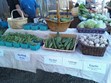 Public Market on the Willapa - Mid-May - December Photo