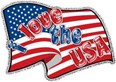 July 4th Carnival Days Photo