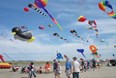 WA State International Kite Festival Photo