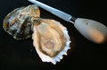 Get famous Willapa Bay Oysters locally.