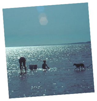 A Family Fun Day of Clamming
