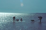 A Family Fun Day of Clamming