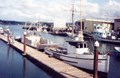 Bay Center Marina