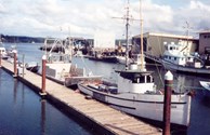 Bay Center Marina