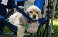 I just love camping here too!