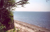 Beach on pristine Willapa Bay