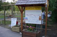 Activity Board