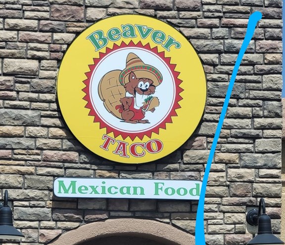 Beaver Taco