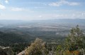 Overlooking Beaver