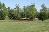 Playground / Horseshoe pits