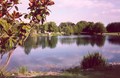 The Pond
