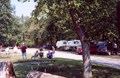 Fun in the Park