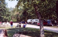 Fun in the Park