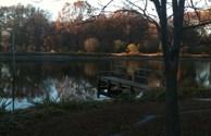 Fish'n Pond