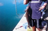 Fishing in the Pond