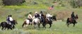 Western Romance Company Photo