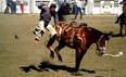 Home of Champions Rodeo and Parade - July 2-4 Photo